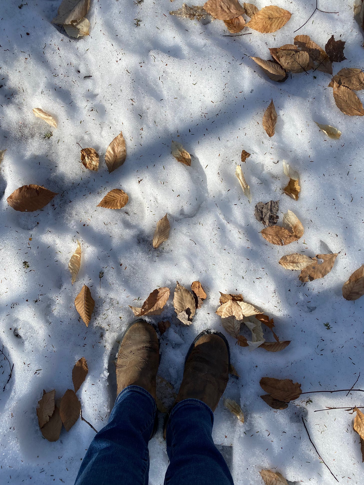 My booted feet in a patch of sunlit snow. Dark blue trees shadows fall across the ground, which is scattered with golden beech leaves and pine needles.