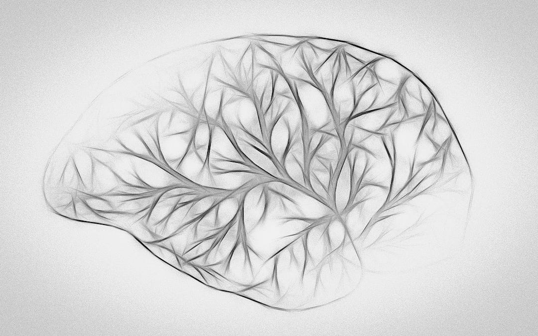 Brain