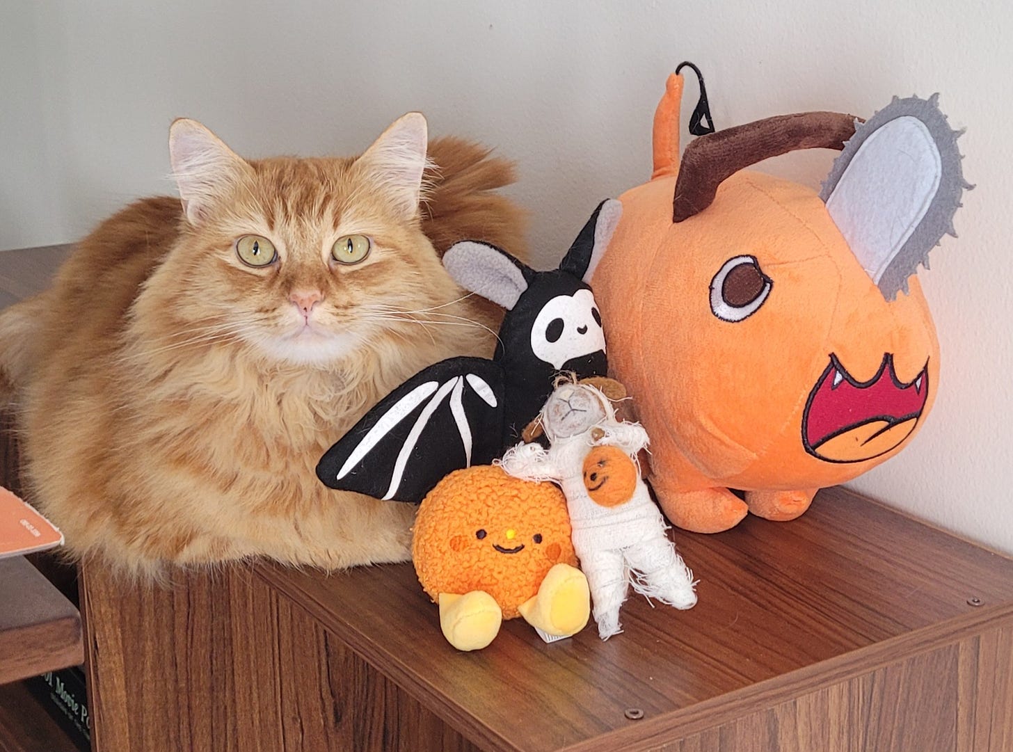 A fluffy orange cat hanging out with a mummy mouse, Pochita, and a little kwek.