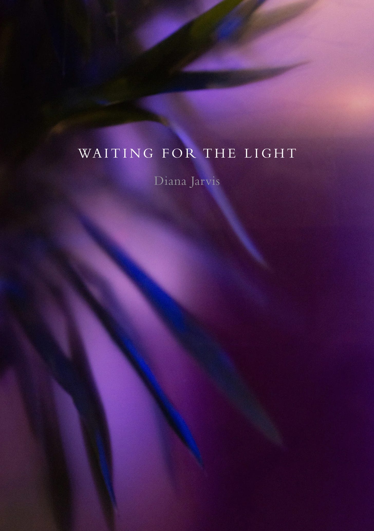 Waiting for the Light, a zine created by Diana Jarvis