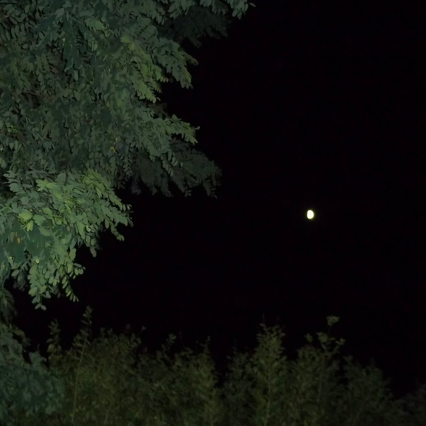 ep. 12 sleeper The Destroyer