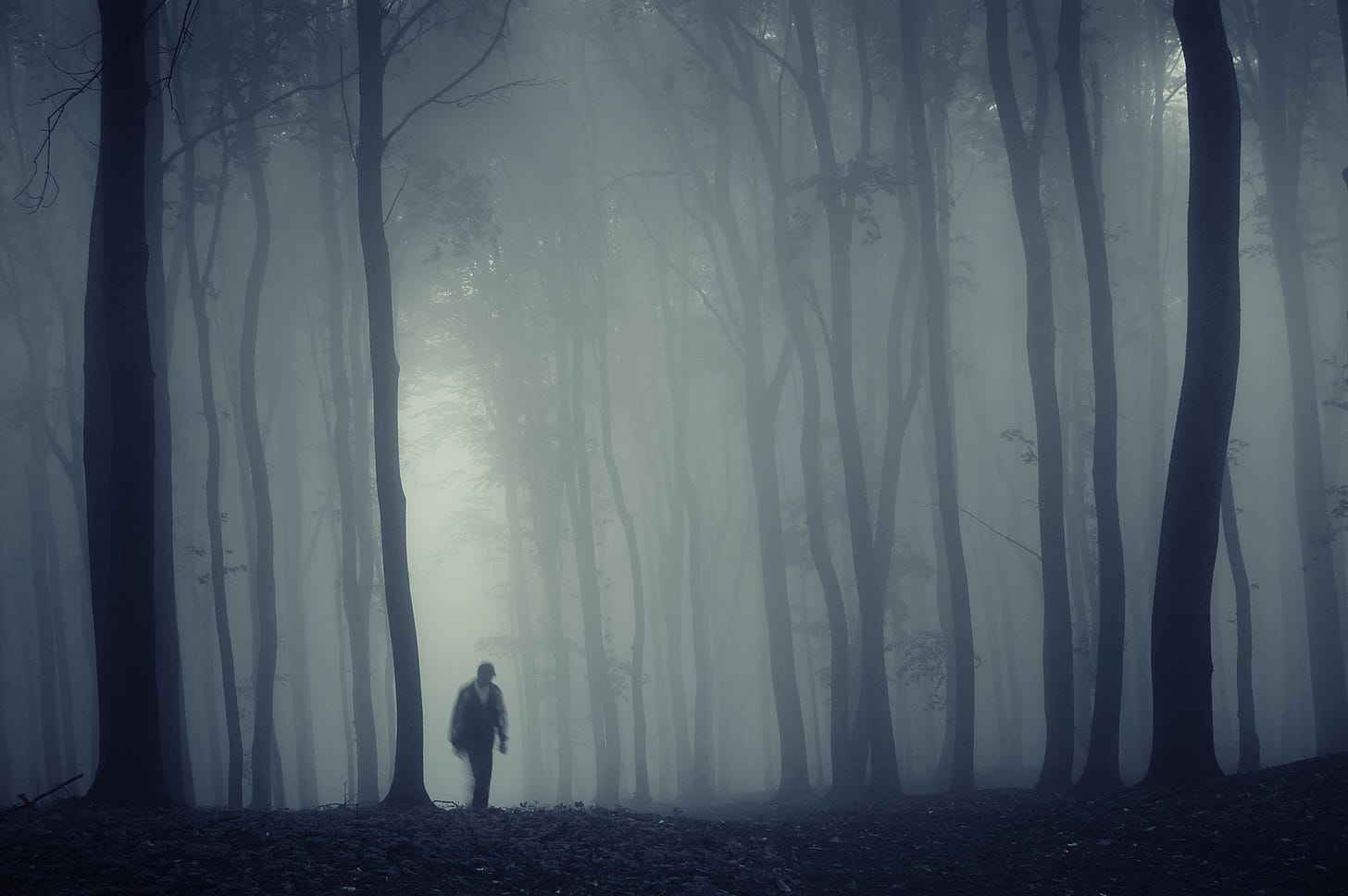 Man in a dark forest with fog by macinivnw on DeviantArt