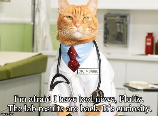 Cat Doctor Memes - Imgflip