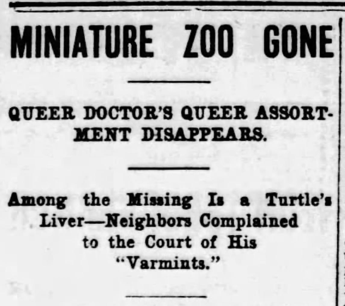 A newspaper headline saying: Miniature Zoo Gone. Queer Doctor's Queer assortment disappears. Among the missing is a turtle's Liver--Neighbors Complained to the Court of his "Varmints".