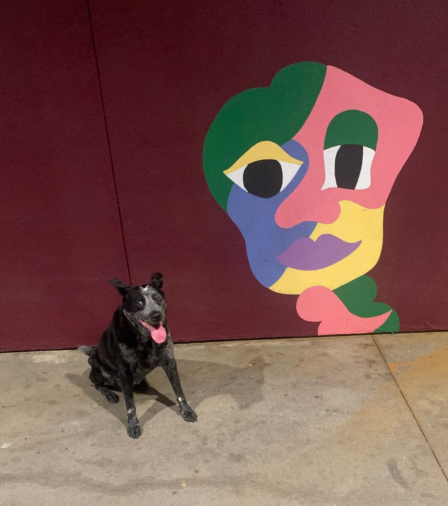 Dog and art