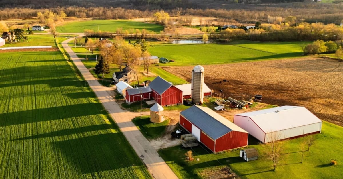 12 Memoirs of Rural America