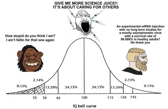 midwit (vaccine education) | IQ Bell Curve / Midwit | Know Your Meme