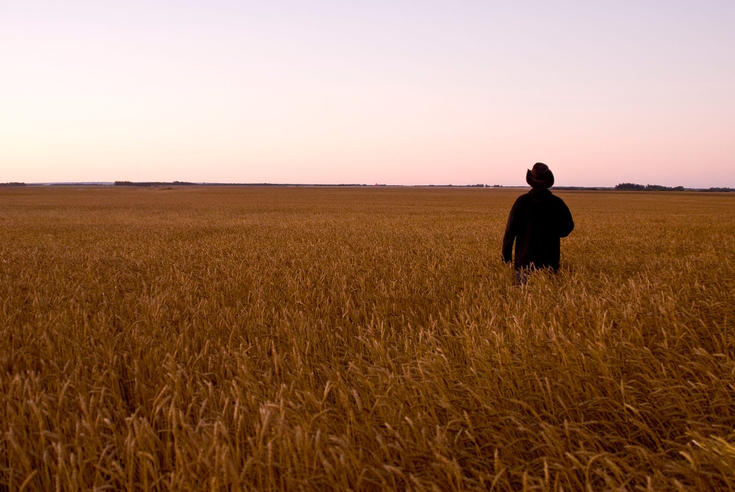 Patience for the Harvest — Today Daily Devotional