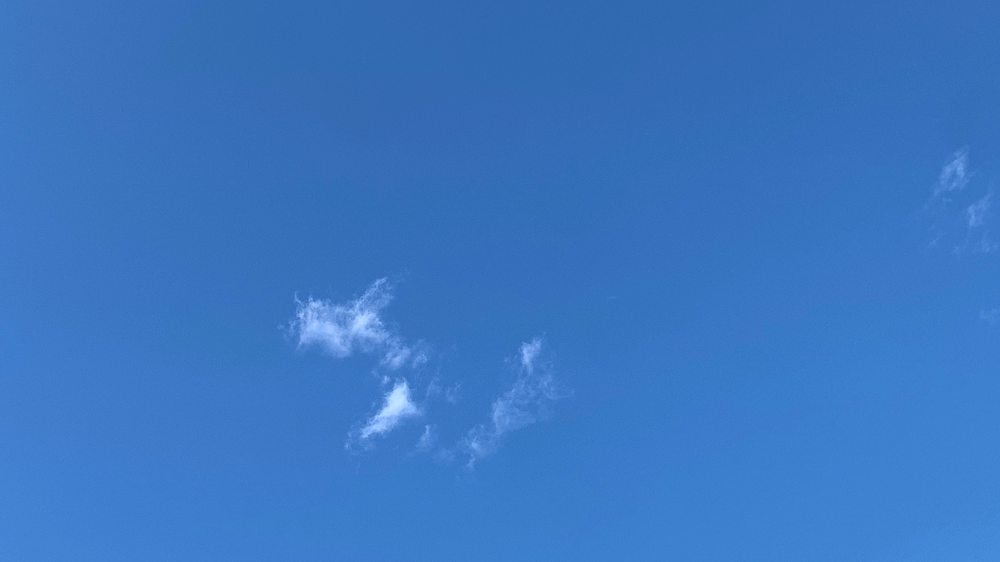 Photo of a blue sky and a wispy shred of fractus cloud