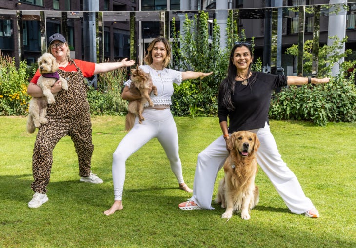 Three women in identical yoga stances while holding their dogs