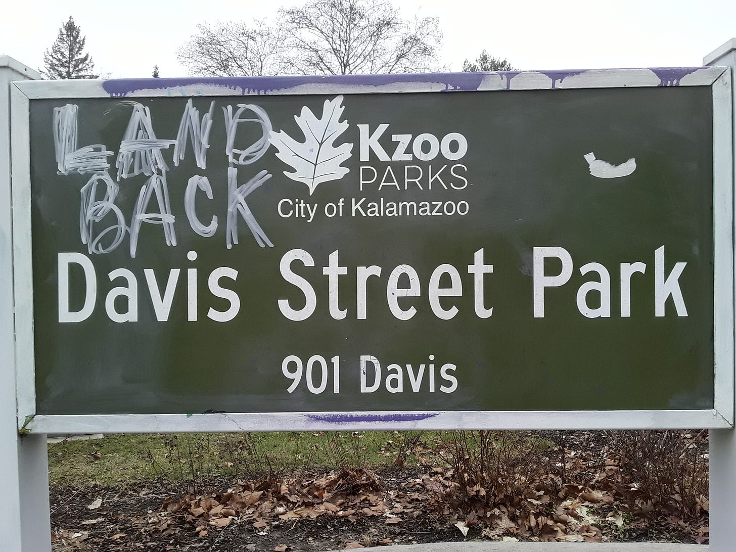 Before graffiti removal photograph of Davis Street Park main sign on Sunday, January 8, previously posted on my campaign Facebook page.