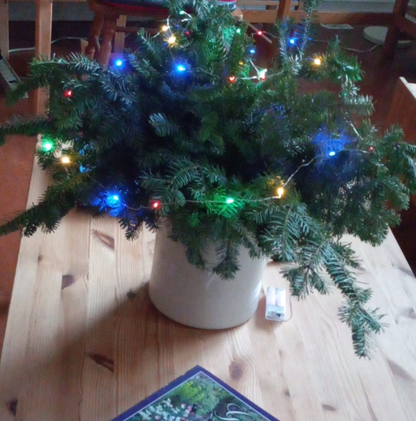 Simple arrangement of evergreen boughs in a crock, decorated with coloured lights.