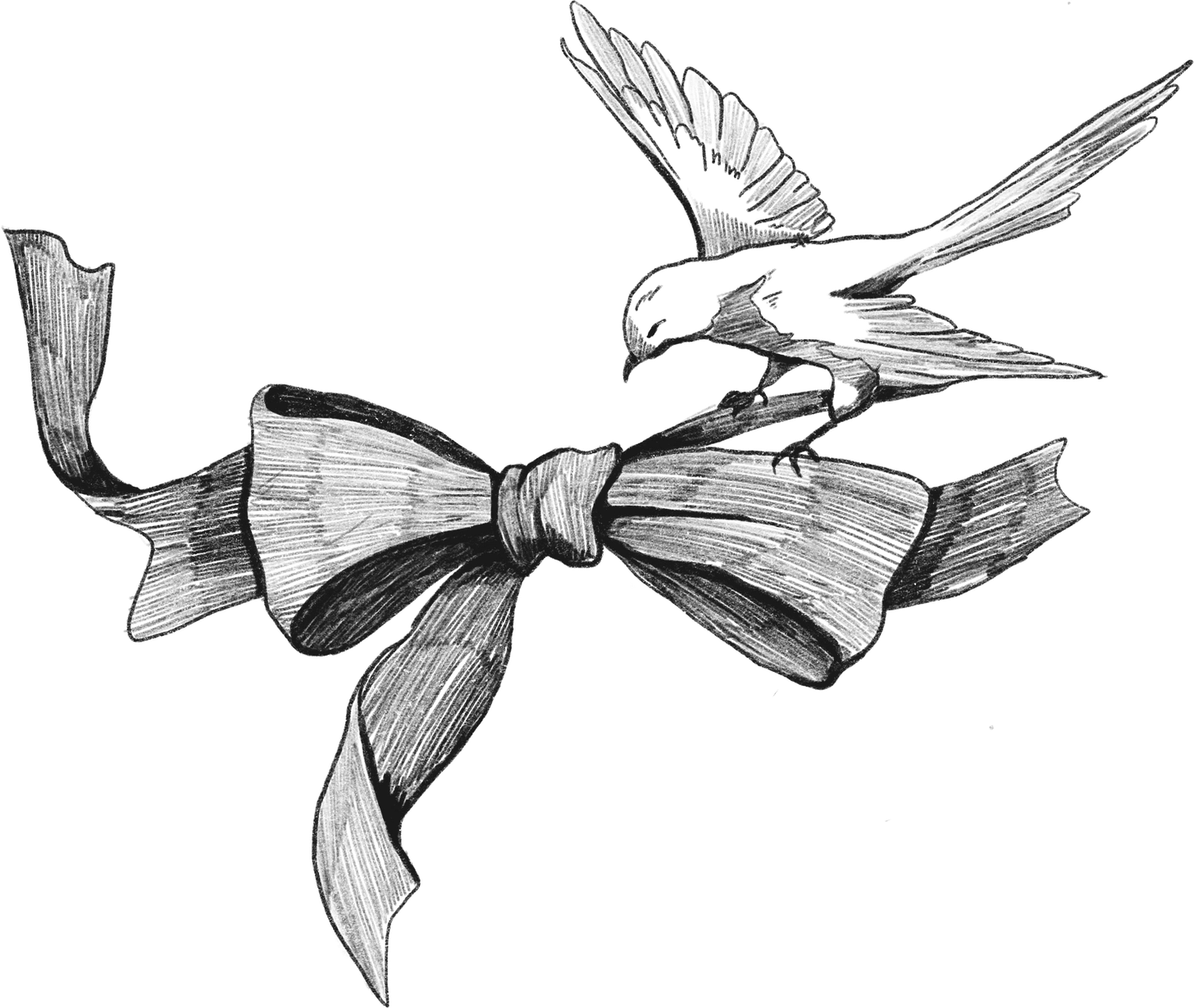 drawing of a bird alighting upon a ribbon tied in a bow