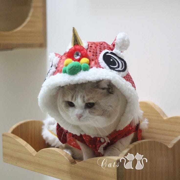 Chinese Dragon Lion Cat Costume ^ | Cat dog costume, Lion cat, Cat costumes