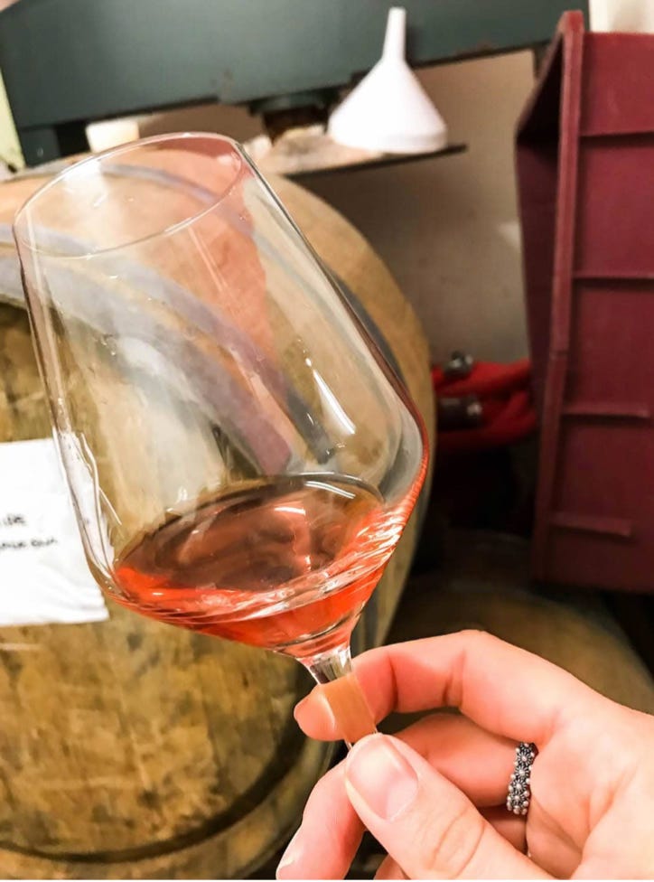 drinking rosé in the barrel room