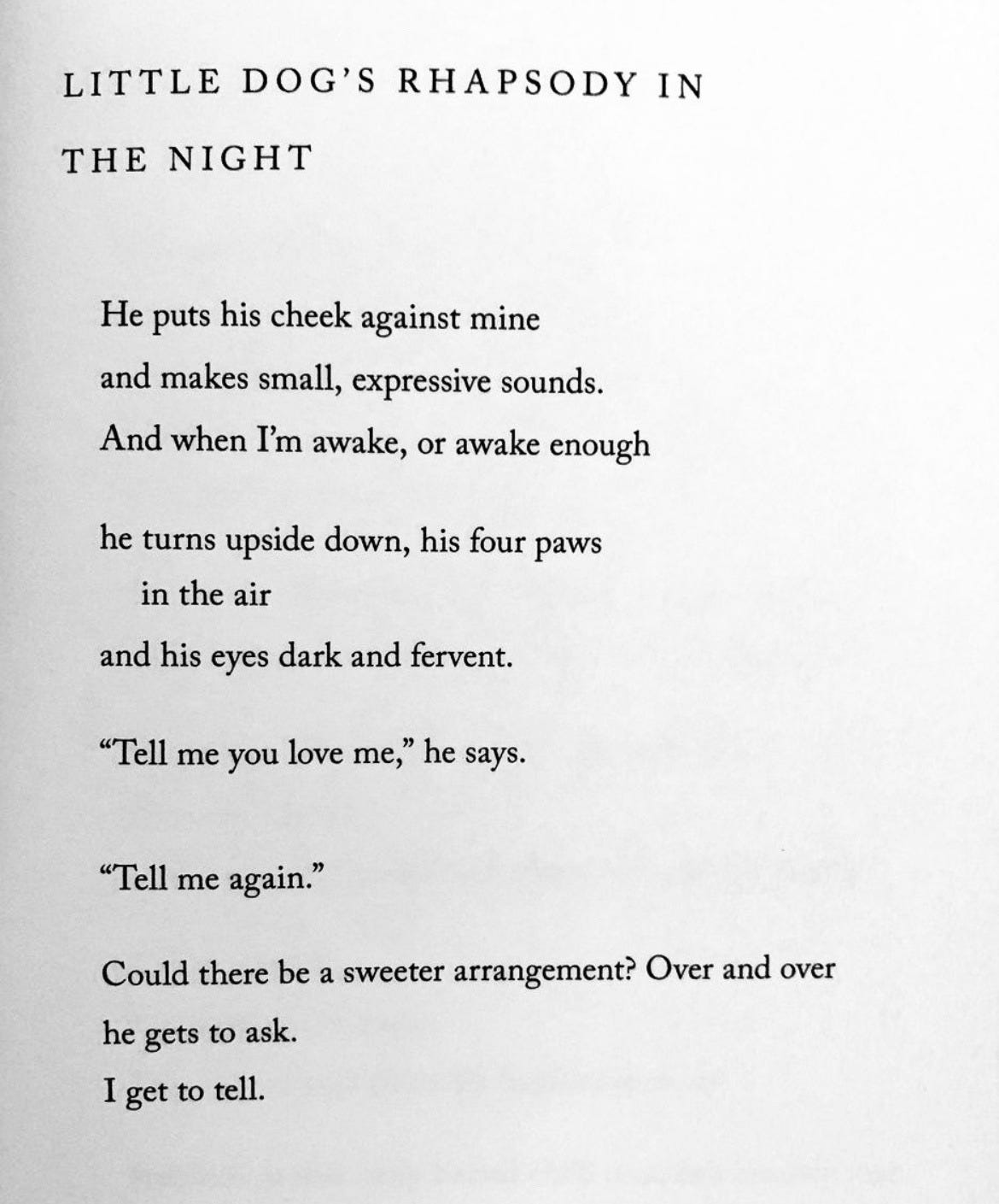 MARY OLIVER – @lunchboxpoems on Tumblr
