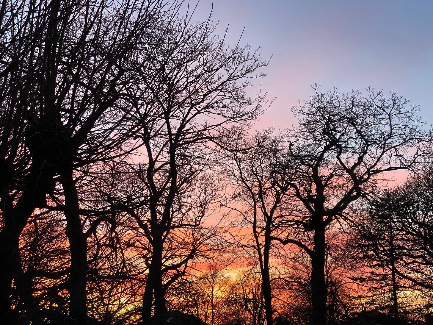 view of sunset looking west through winter trees