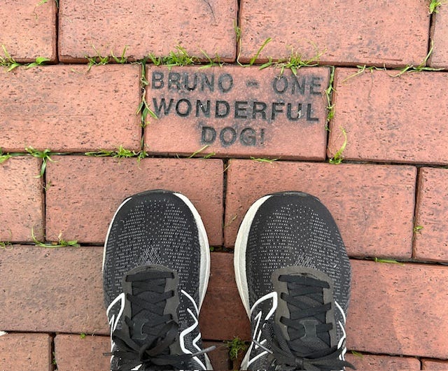 A woman's feet beside a brick path in which one brick is a tribute to a wonderful dog named Bruno