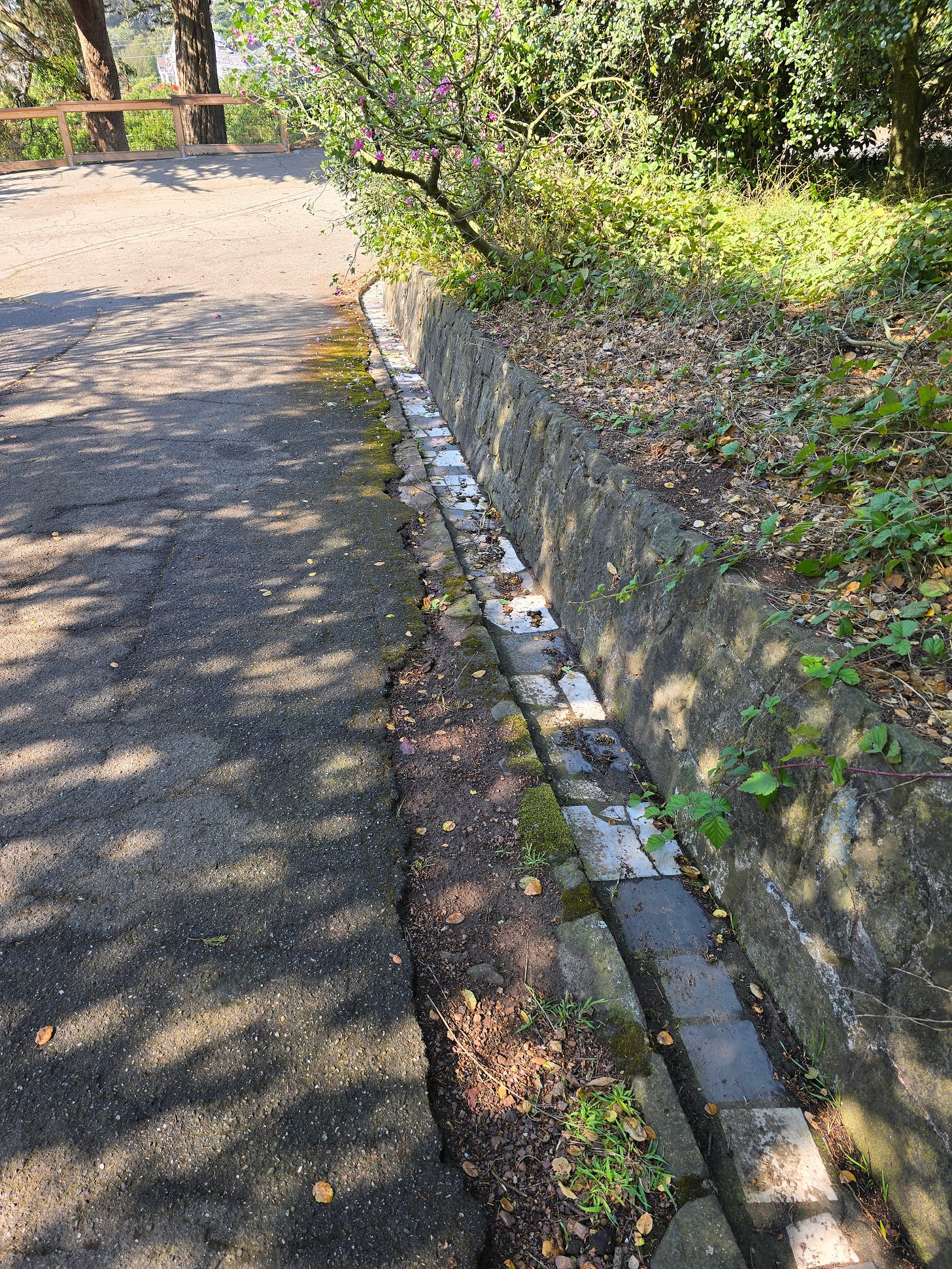 tombstones lining buena vista park