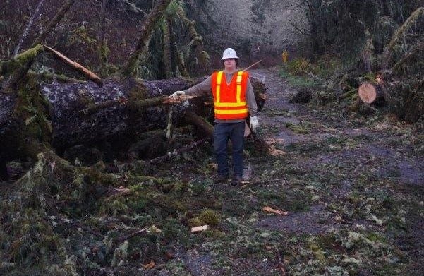 WSDOT worker in hard hat and orange vest stands next to huge tree which fell onto highway. 