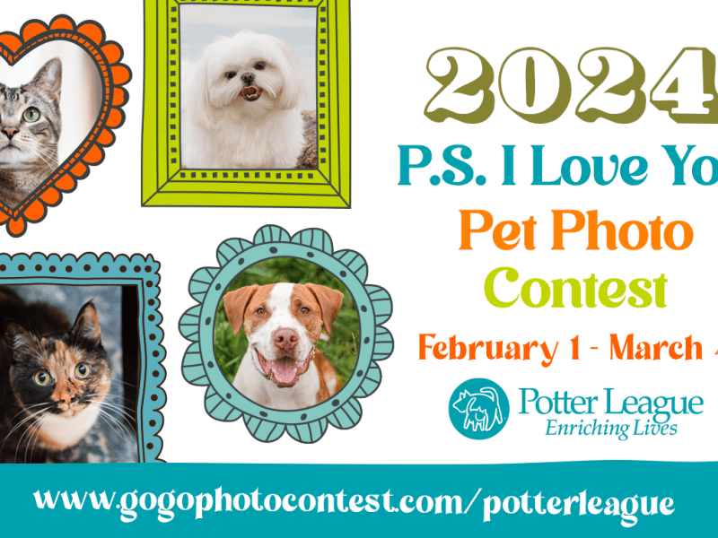 Potter League for Animals launches 8th Annual ‘P.S. I Love You Pet Calendar Photo Contest’