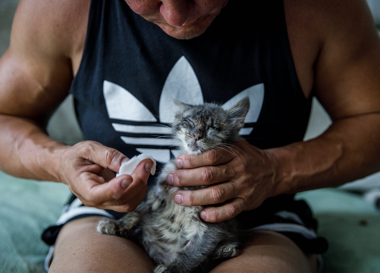 Powerlifter Anna Kurkurina cleans a kitten's eyes