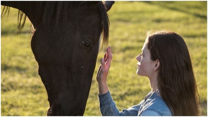 Kate Winslet's most ambitious role yet: She's a horse.