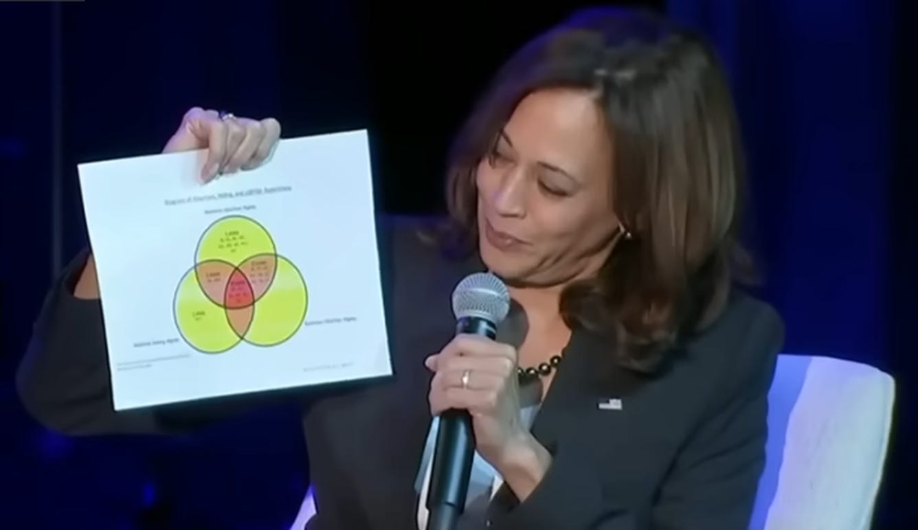 Vice President Kamala Harris Loves Venn Diagrams: Video