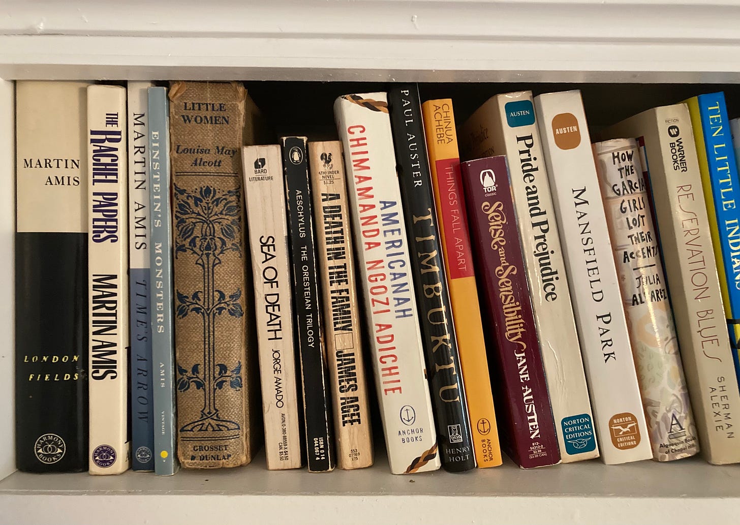 Books on a bookshelf, including four Amis novels