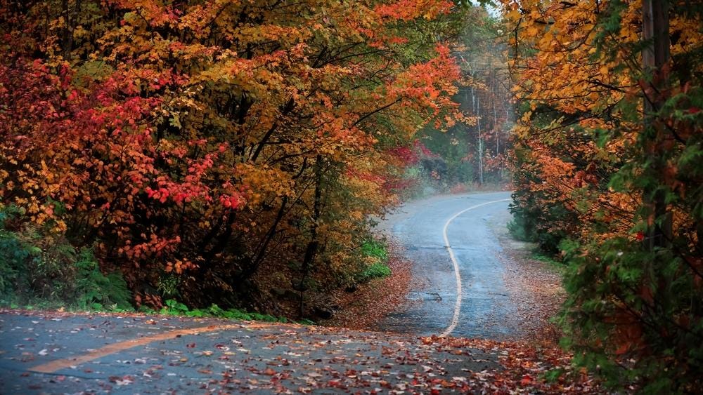 Embracing the Beauty of New England's Transition from Summer to Autumn |  Blog | STARS Of Boston