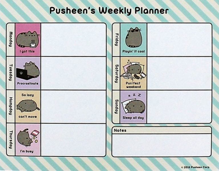 Pusheen Weekly Planner hot mothers day gift ideas 2019.