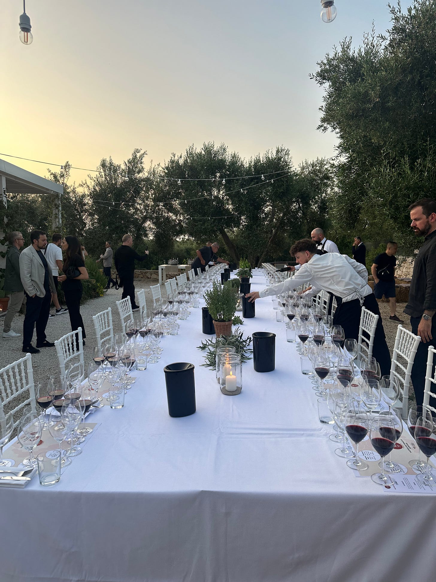 Gioia del Colle Primitivo Masterclass