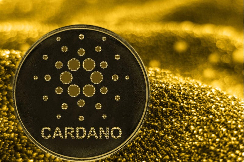 Cardano (ADA) Whales Buy-in $162M as Transactions Soar By DailyCoin