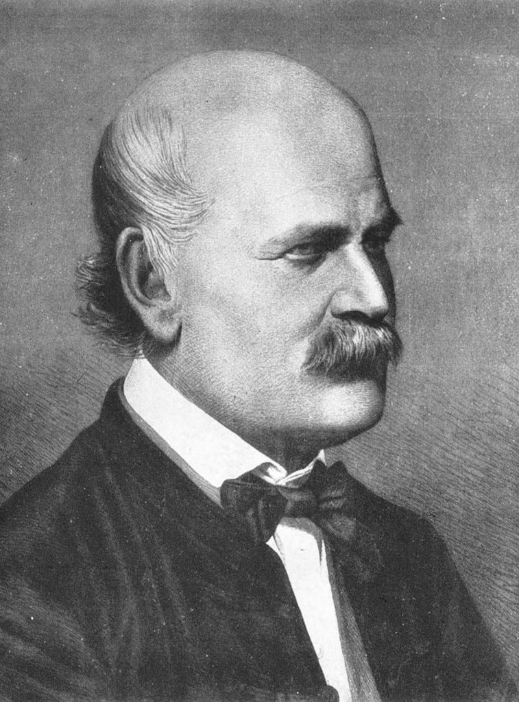 In 1850, Ignaz Semmelweis saved lives with three words: wash your hands |  PBS NewsHour