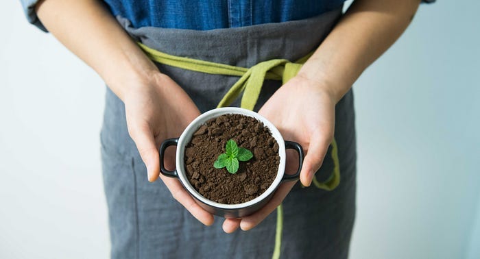A person holding up a pot with a plant growing in it