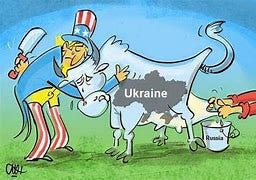 Image result for ukraine nato pig cartoon