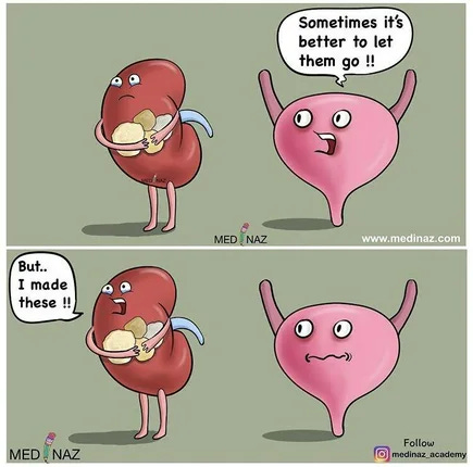 Kidney stones Memes and Images - Imgur