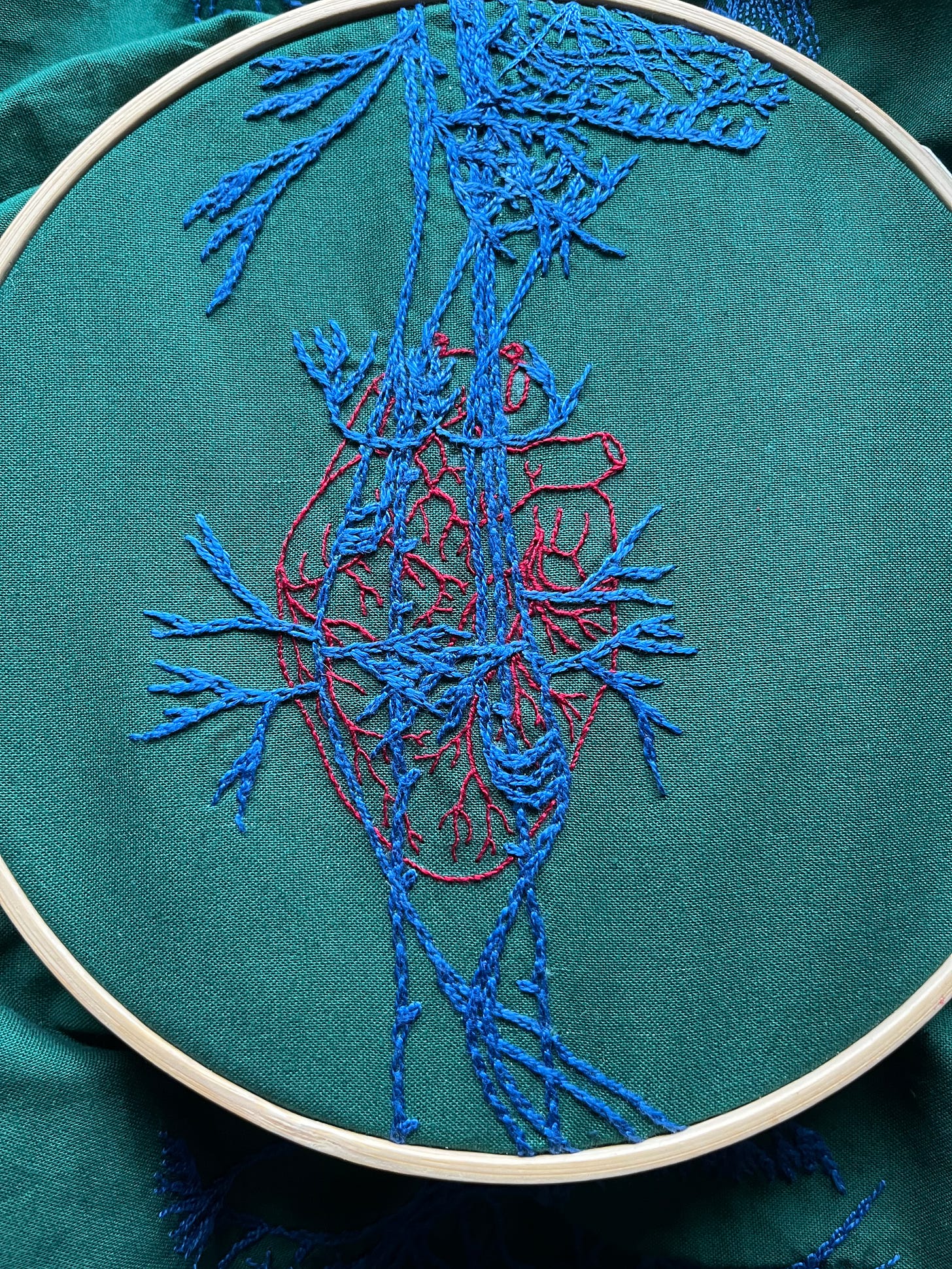 The upper chest area of a vagus nerve stitched in blue chain stitch on green cotton is in an embroidery hoop. An anatomical heart is stitched in two and one strand red whipped back stitch.
