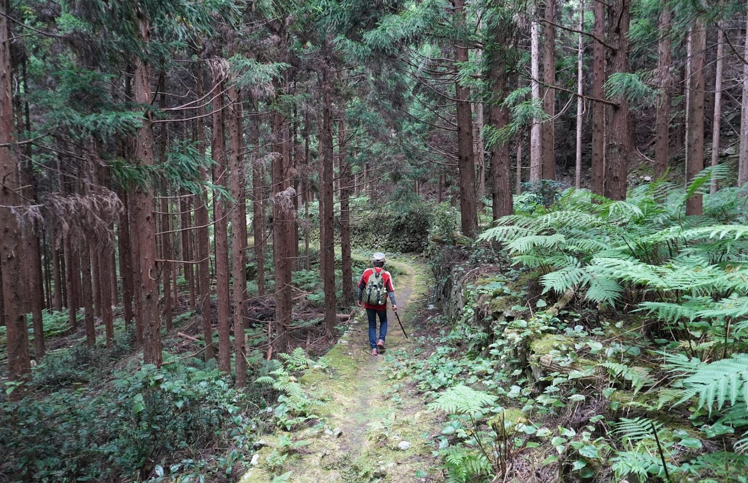 Kumano Kodo Pilgrim