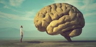 your brain looks at itself ...