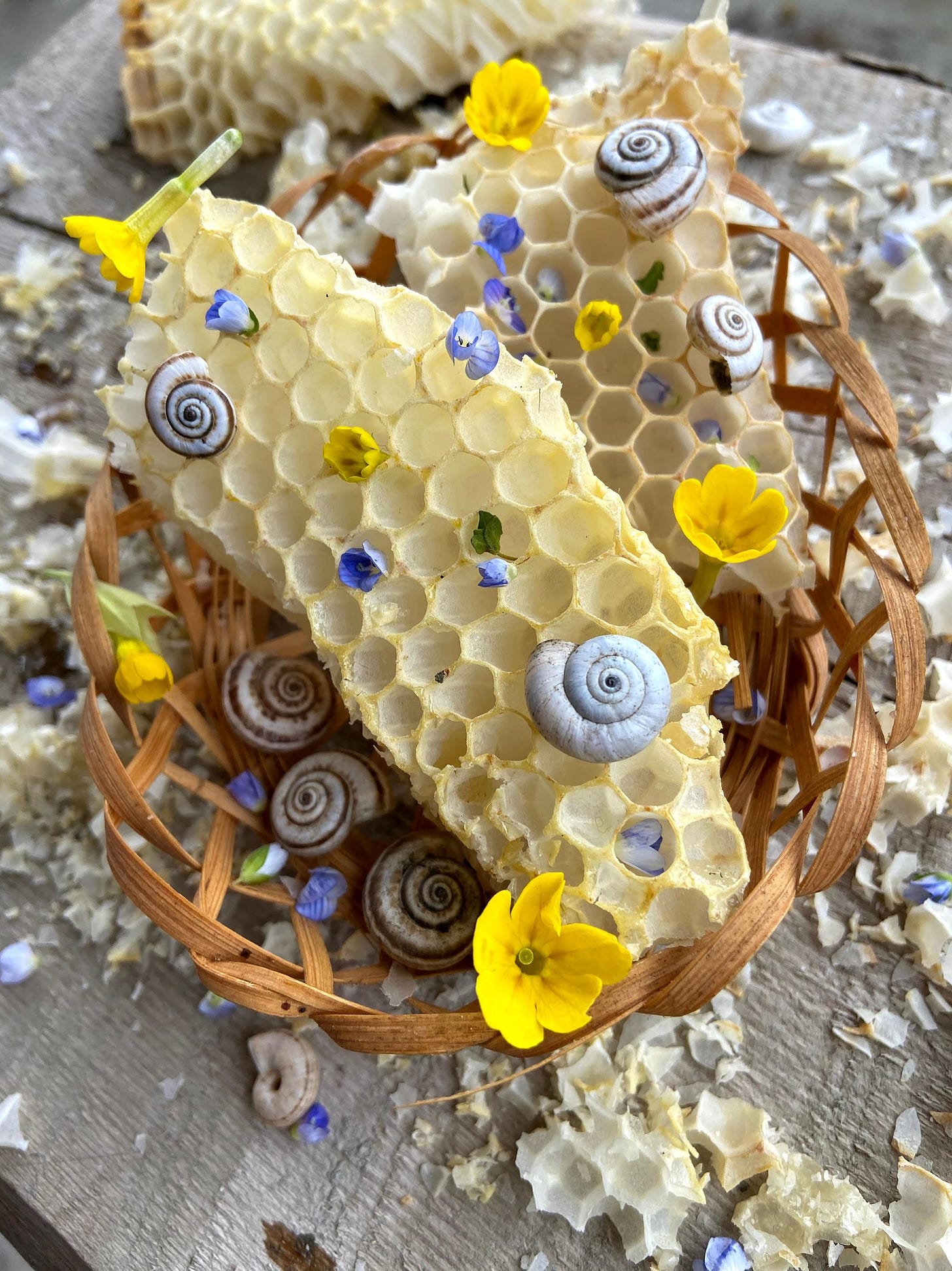 image of seashells and flowers atop beeswax in a basket