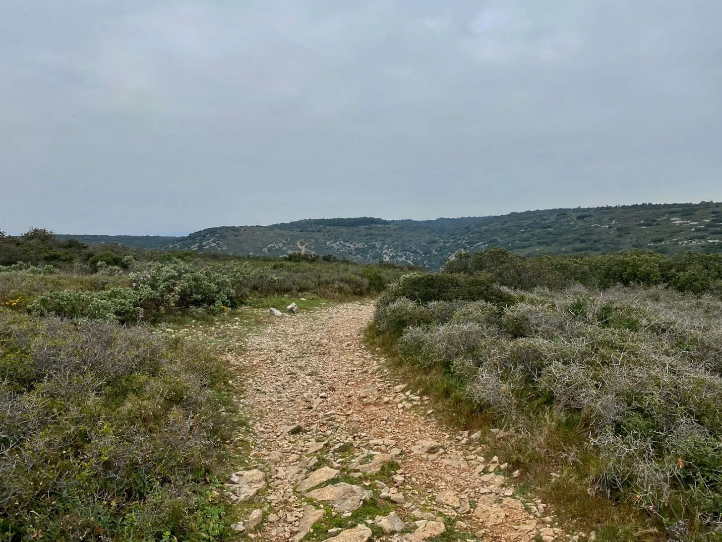 Chemin typique Chemin typique