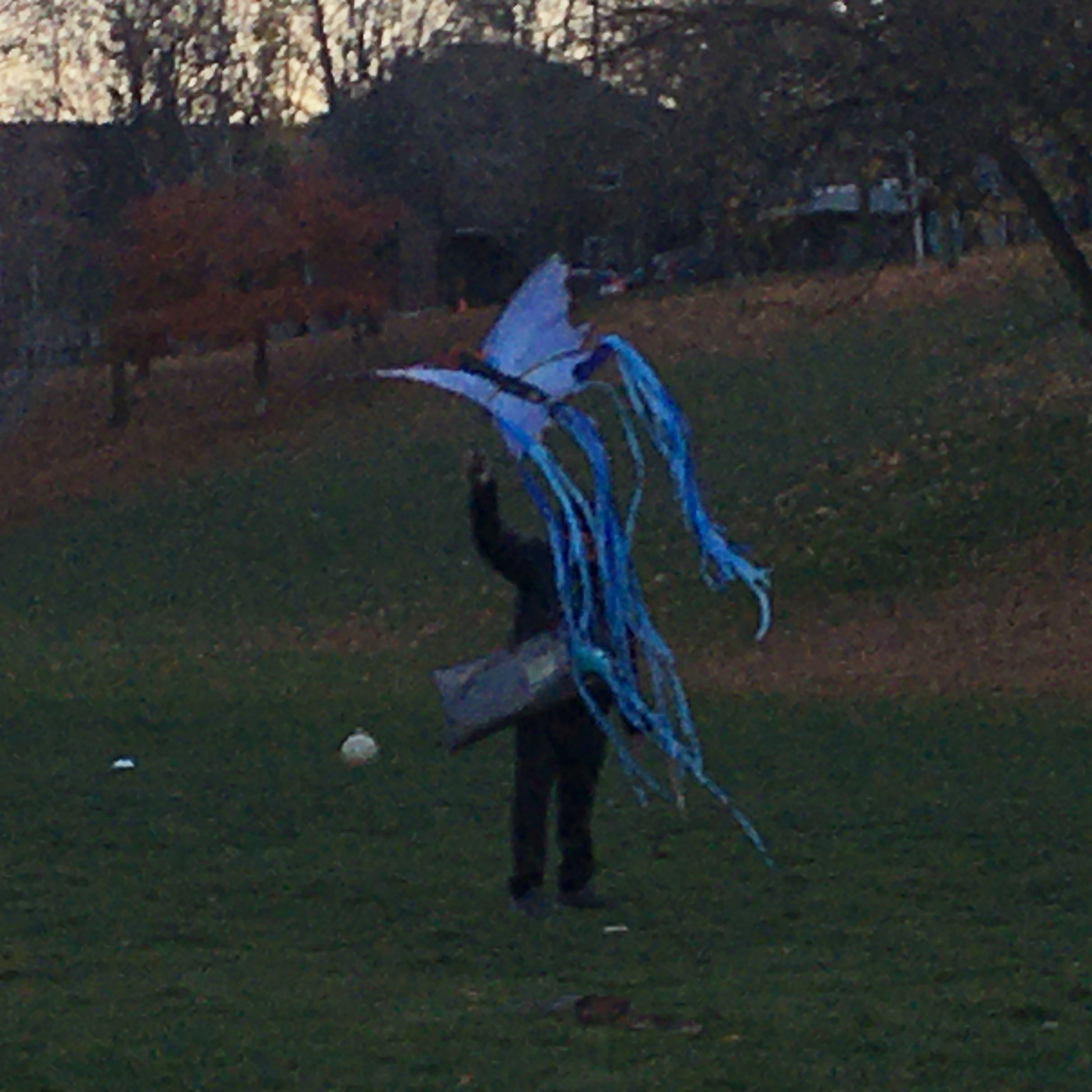 A man struggling to launch a beautiful blue butterfly kite on a windy November day in a Toronto park.