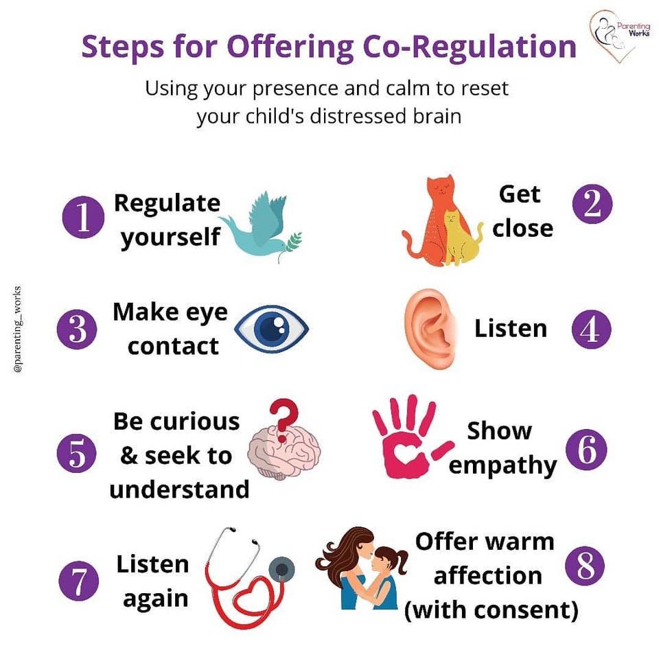 An infographic outlines practices for co-regulation including regulating yourself, being curious, listening, and offering affection.