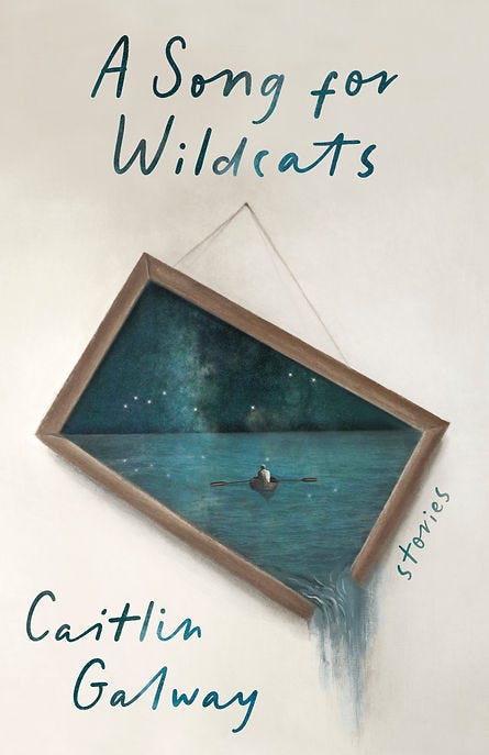 A Song for Wildcats by Caitlin Gaway