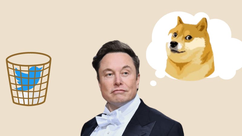 Doge takes over Twitter as Elon Musk replaces app's iconic bird - Comment -  Images