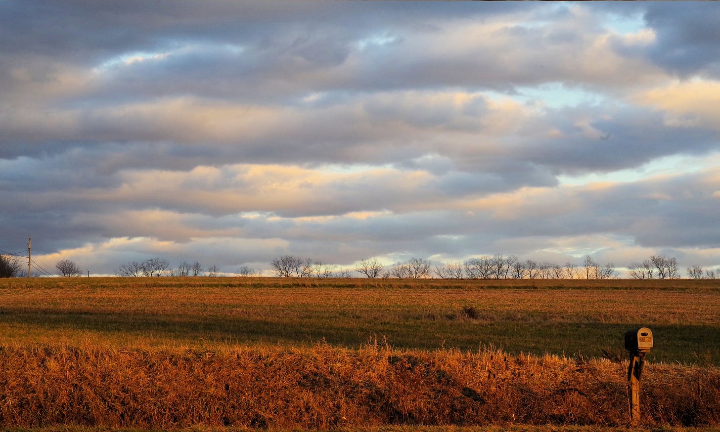 May be an image of silo and nature