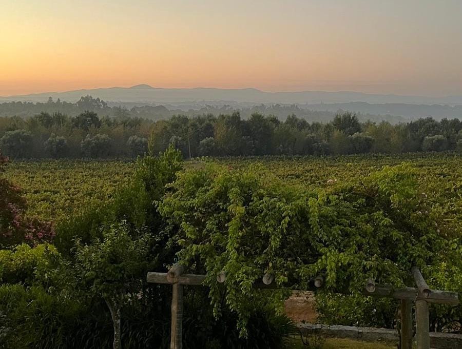 beautiful Portuguese countryside