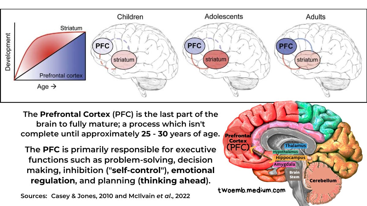 The Prefrontal Cortex (PFC) is the last part of the brain to fully mature; a process which isn’t complete until approximately 25–30 years of age. The PFC is primarily responsible for executive functions such as problem-solving, decision making, inhibition (“self-control”), emotional regulation, and planning (thinking ahead).