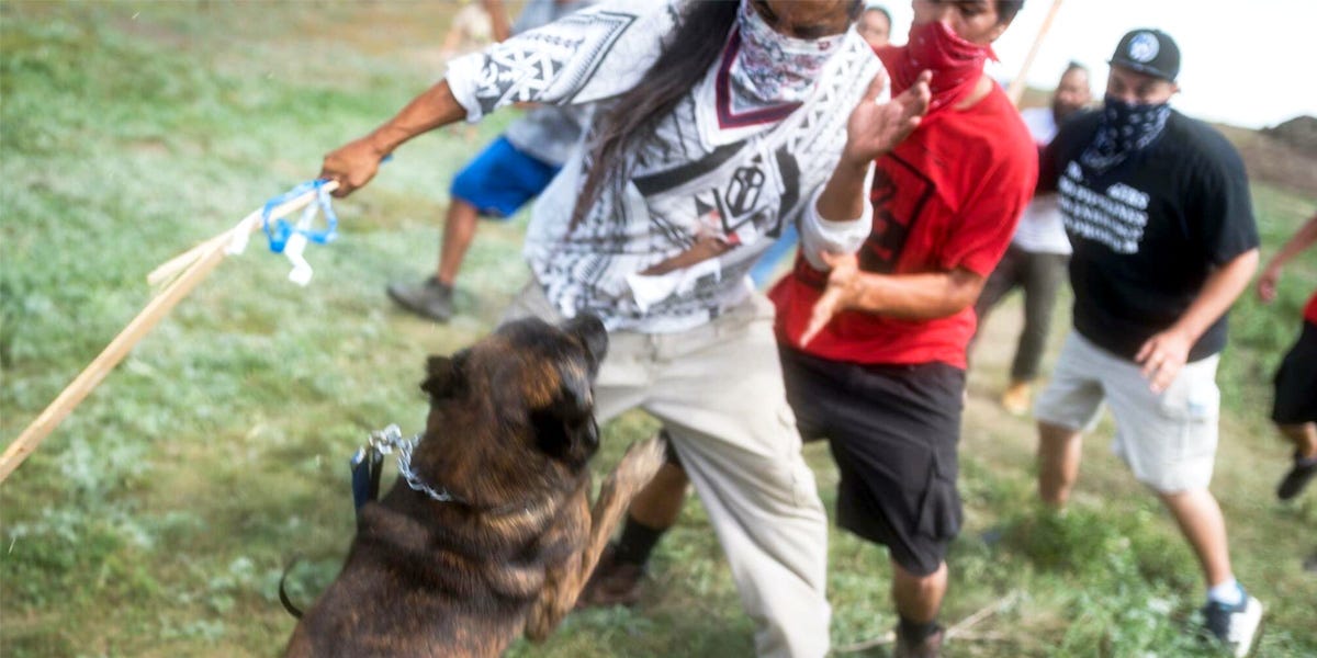 Dakota Access Pipeline Company Attacks Native American Protesters With Dogs  and Mace - EcoWatch